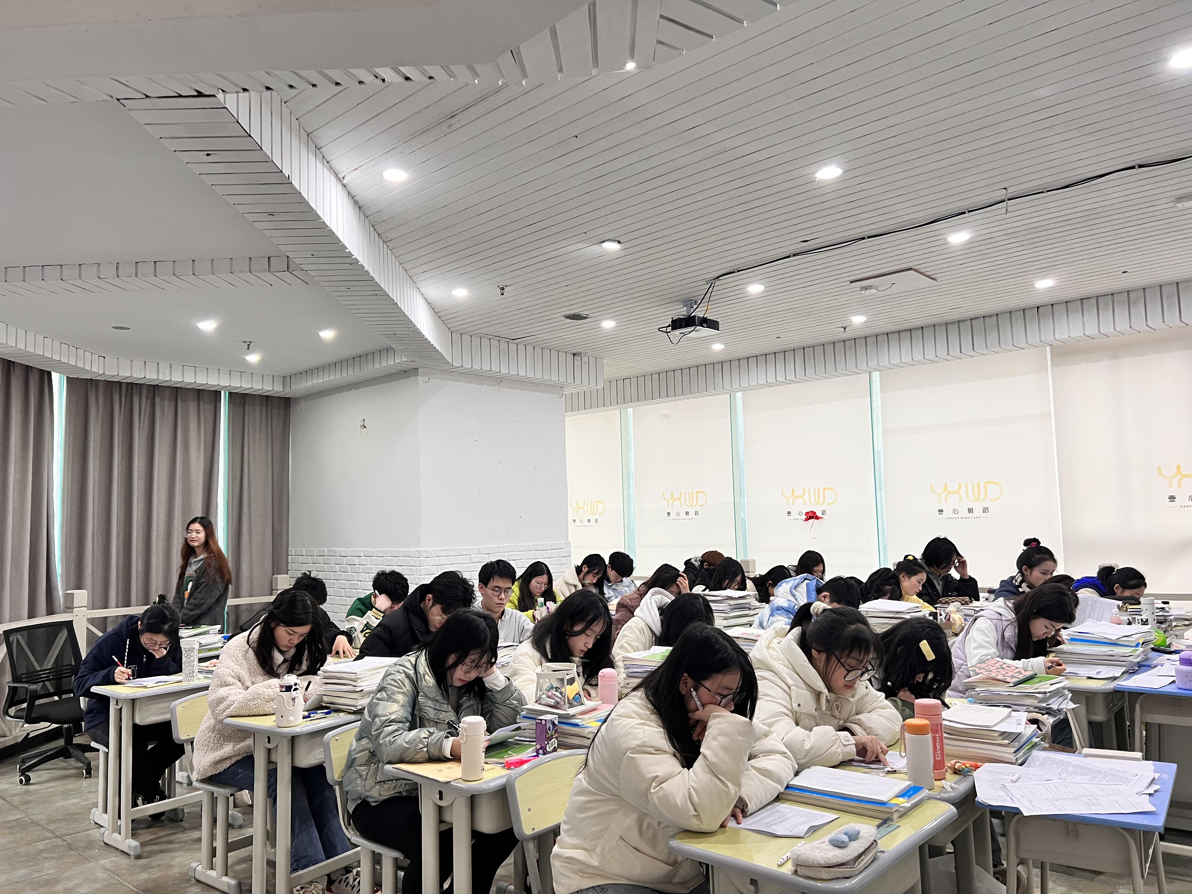 语文试题及答案解析